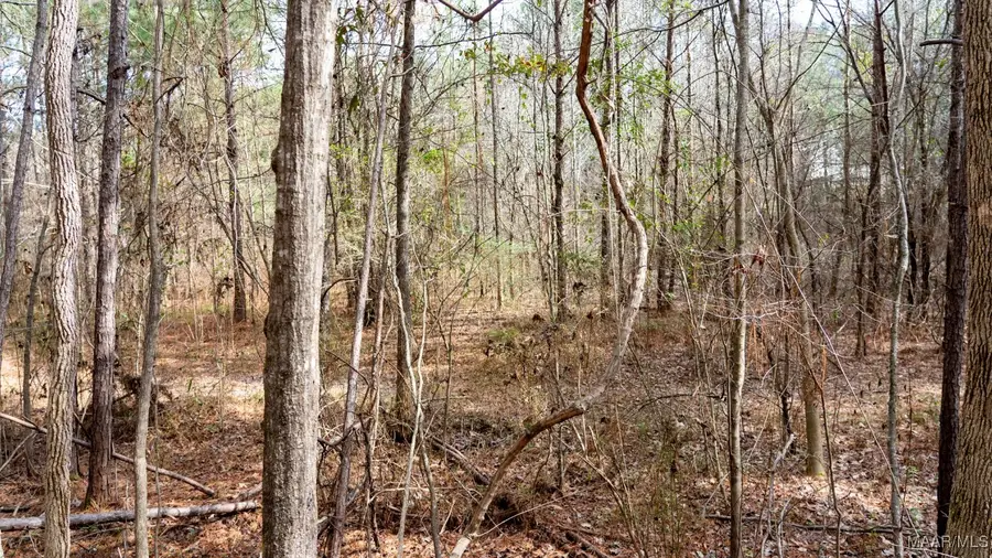 185 Dam Road, Wilsonville, AL 35186 - Image #3