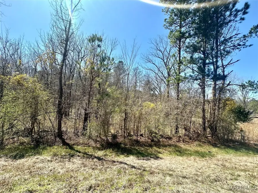 39 Jasmine Lane, Ramer, AL 36069 - Image #2