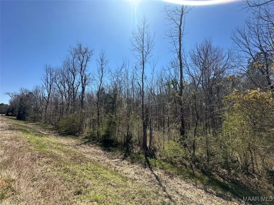 39 Jasmine Lane, Ramer, AL 36069 - Image #3