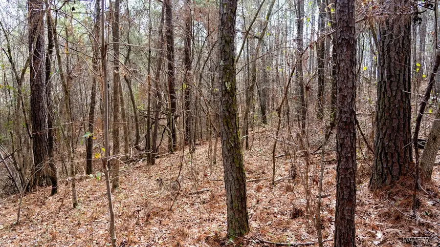 0 Deer Path, Wilsonville, AL 35186 - Image #2