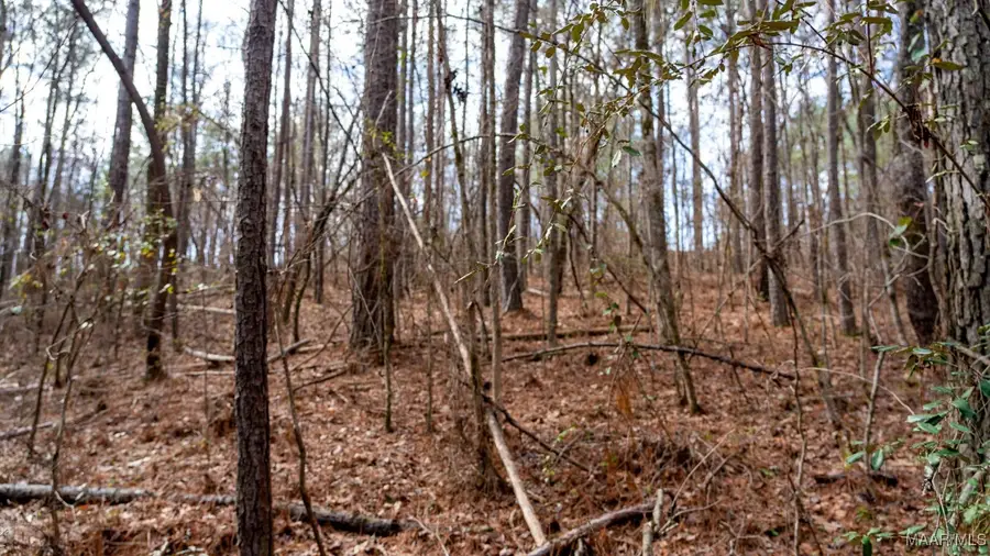 0 Deer Path, Wilsonville, AL 35186 - Image #3