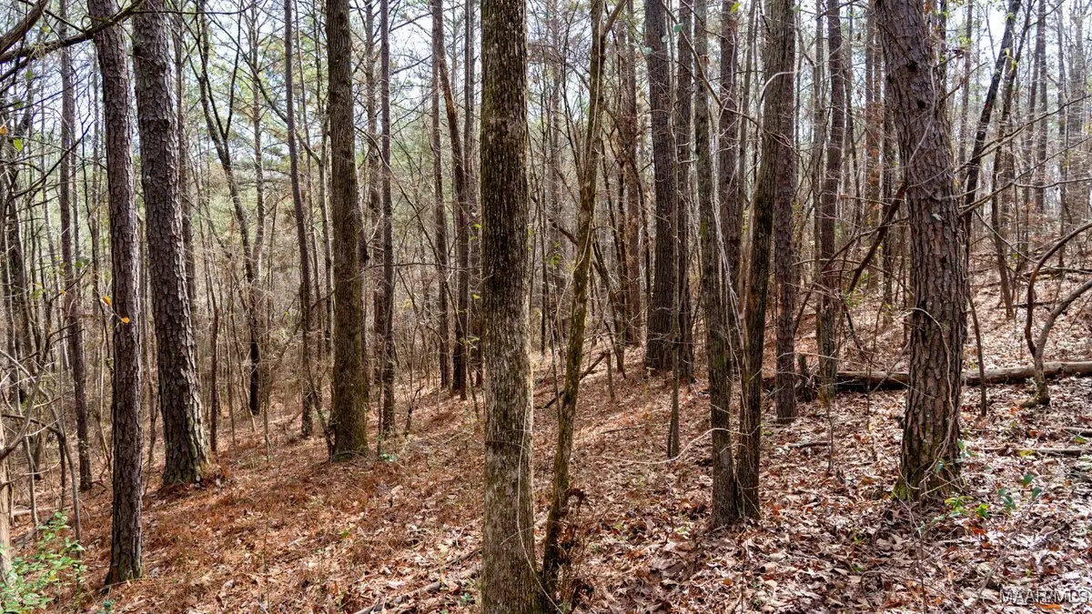 0 Dove Court, Wilsonville, AL 35186 - Image #1