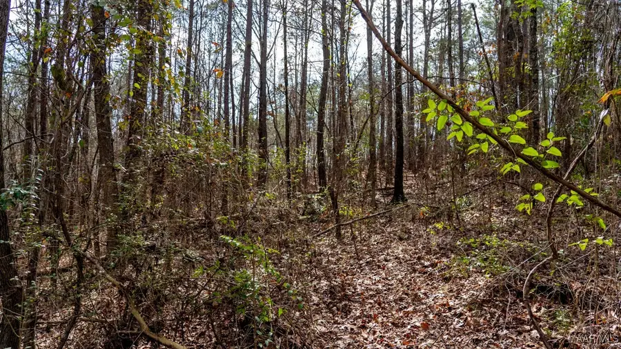 0 Dove Court, Wilsonville, AL 35186 - Image #2