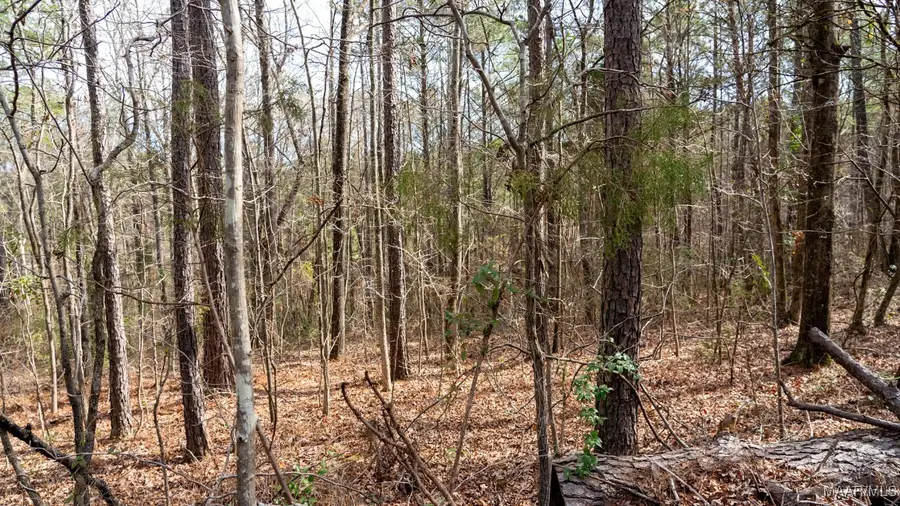 0 Dove Court, Wilsonville, AL 35186 - Image #3