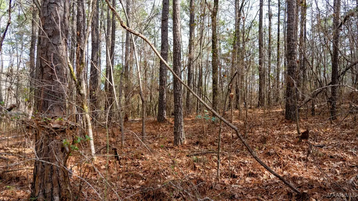 1 Dove Court, Wilsonville, AL 35186 - Image #1