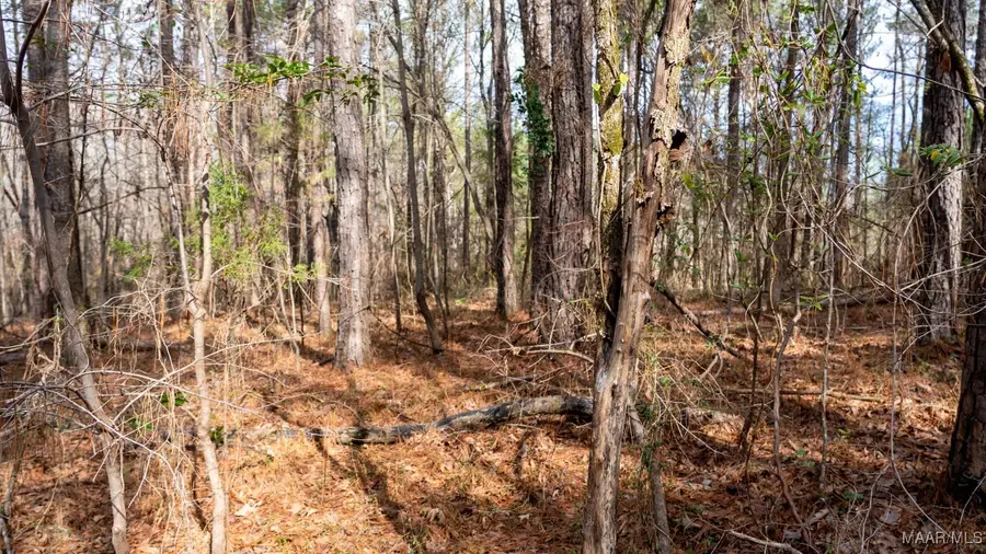 1 Dove Court, Wilsonville, AL 35186 - Image #2