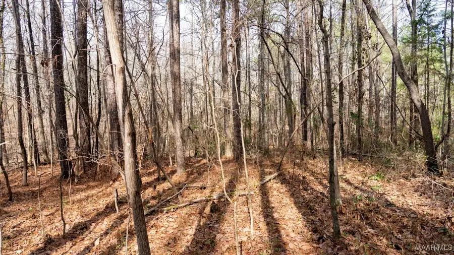 1 Dove Court, Wilsonville, AL 35186 - Image #3