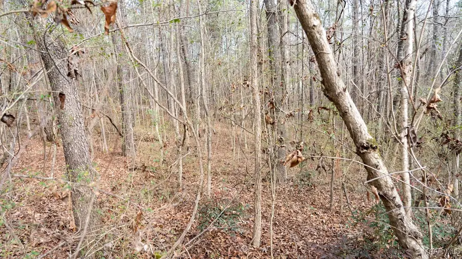 2 Deer Path, Wilsonville, AL 35186 - Image #3
