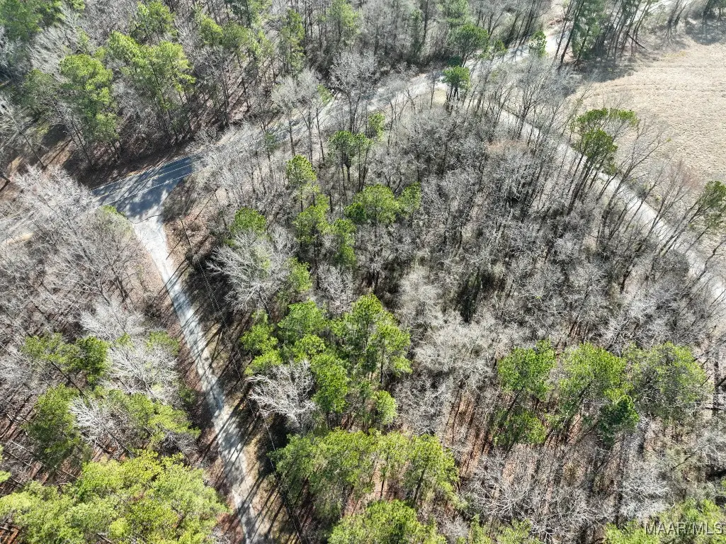 1 Deer Path, Wilsonville, AL 35186 - Image #1