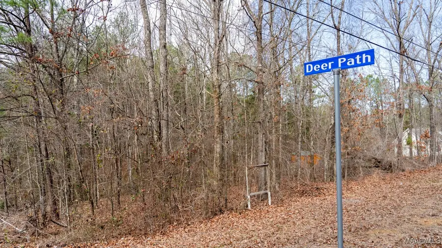 1 Deer Path, Wilsonville, AL 35186 - Image #2