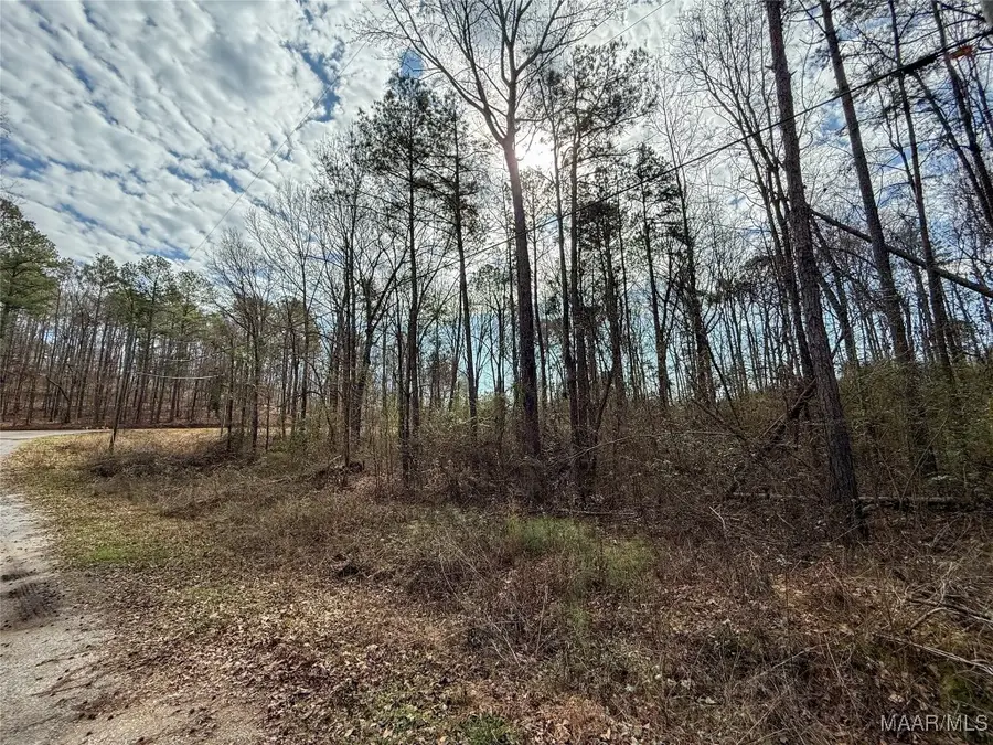 1 Deer Path, Wilsonville, AL 35186 - Image #3