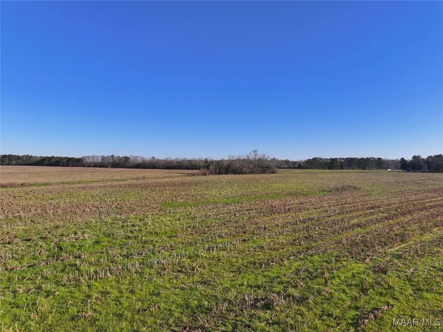 2 County Road 22 Road, Union Springs, AL 36089 - Image #2