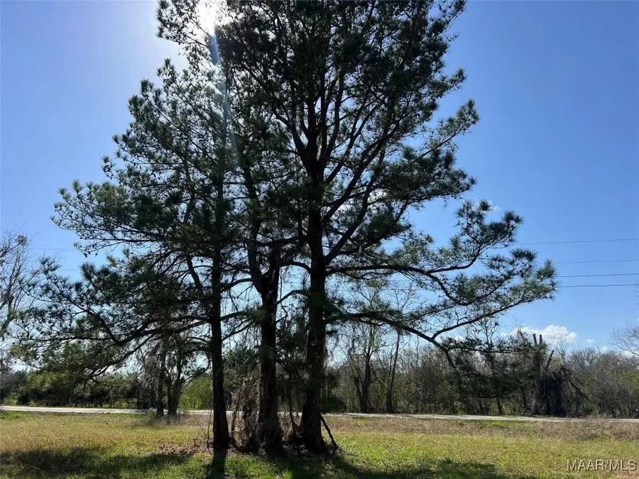 0 Barganier Road, Cecil, AL 36013 - Image #2