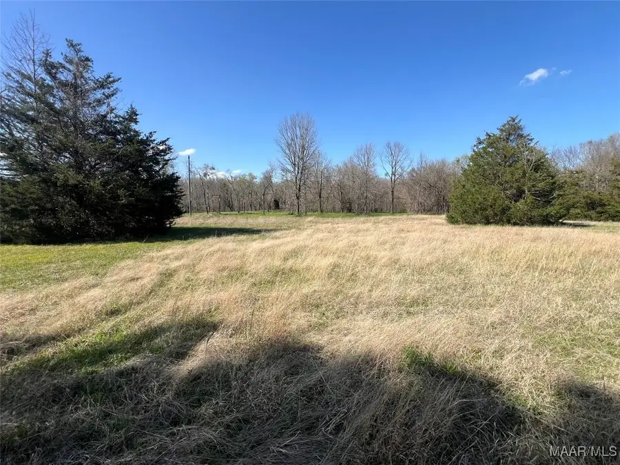 0 Barganier Road, Cecil, AL 36013 - Image #3