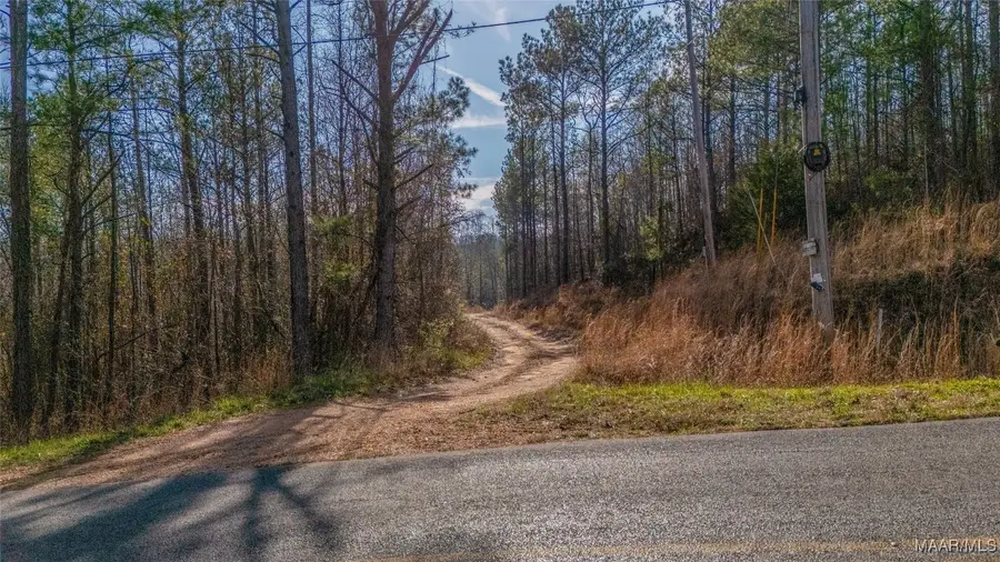 0 County Road 20 Road E, Marbury, AL 36051 - Image #2