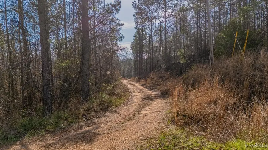 0 County Road 20 Road E, Marbury, AL 36051 - Image #3