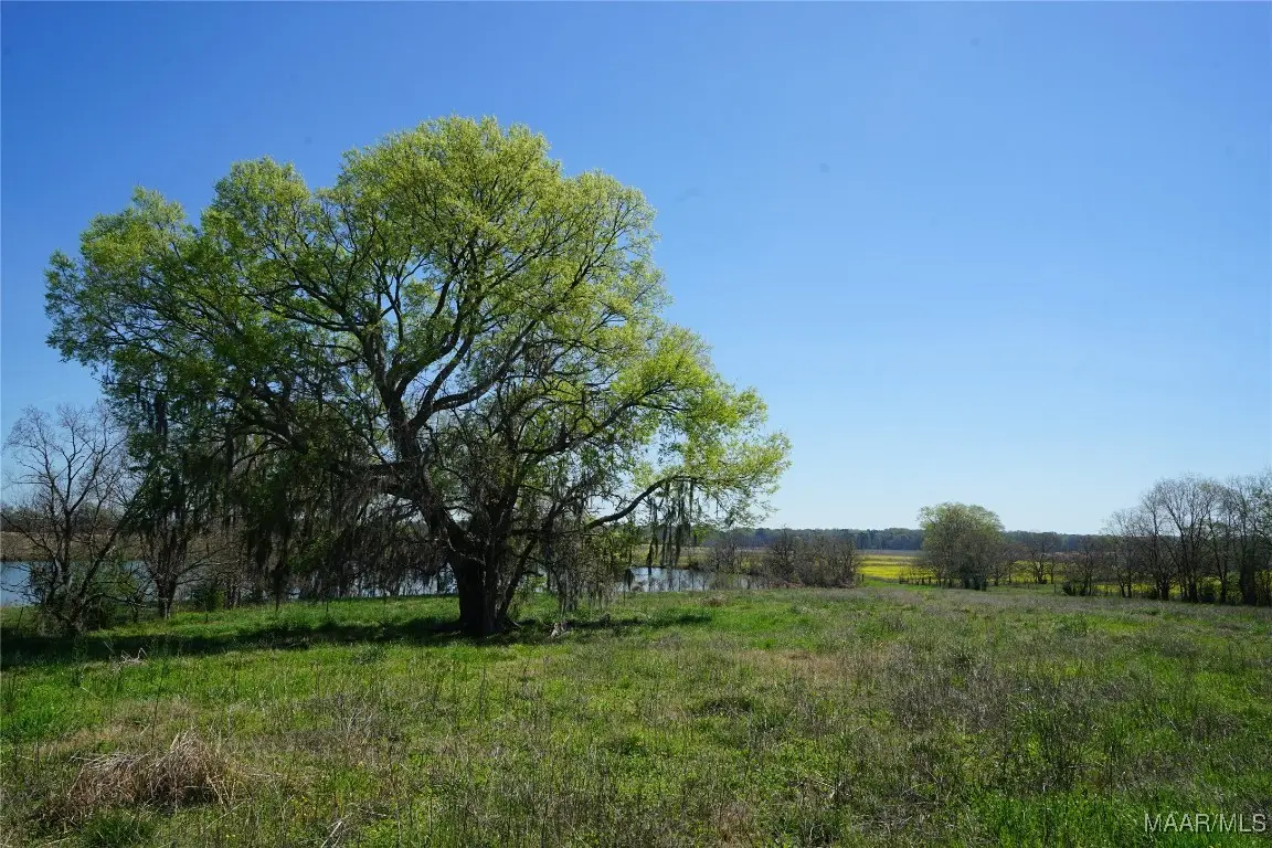 1037 Woodley Road, Ramer, AL 36069 - Image #1