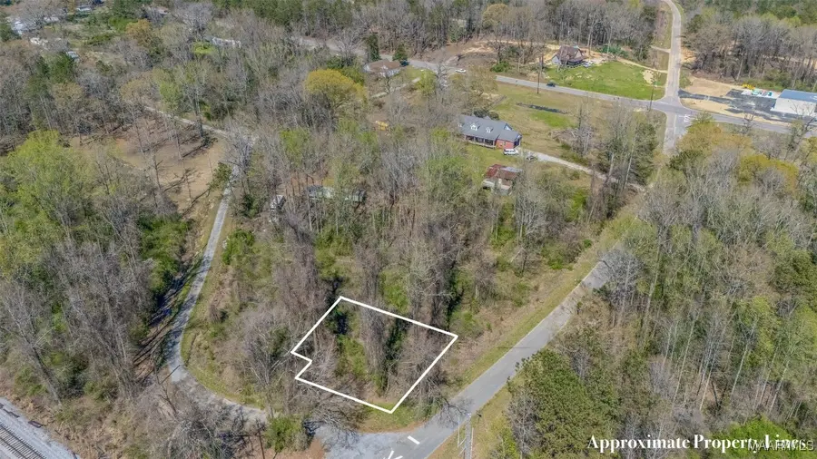 0 County Road 63 Road, Marbury, AL 36051 - Image #3