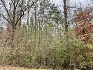 Lot 43 Althea Loop, Alexander City, AL 35010