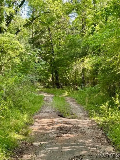 0 Sherling Lake Road, Greenville, AL 36037 - Image #2