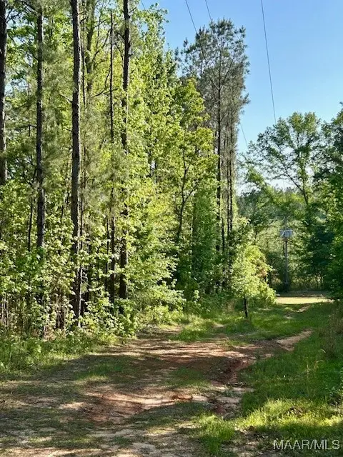 0 Sherling Lake Road, Greenville, AL 36037 - Image #3