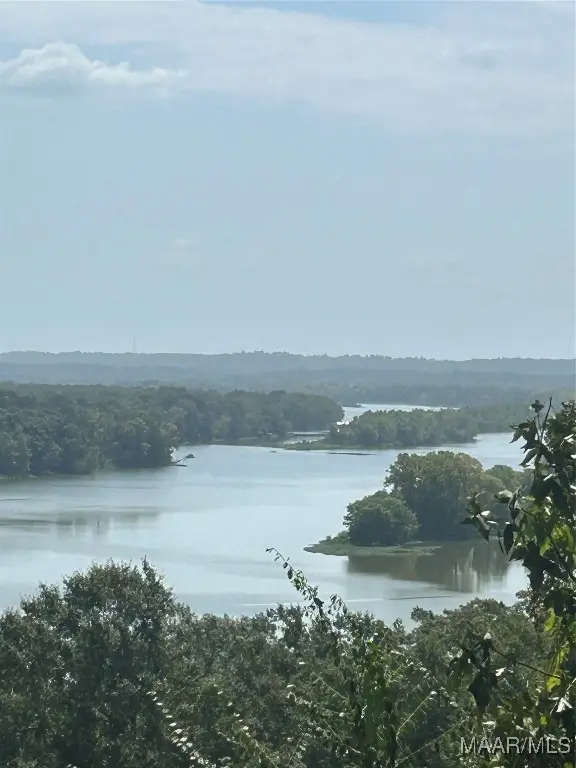 3 Prairie Bluff Drive, Catherine, AL 36728 - Image #2