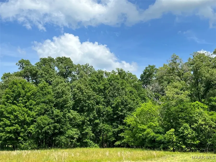 4209 Marler Road, Pike Road, AL 36064 - Image #2