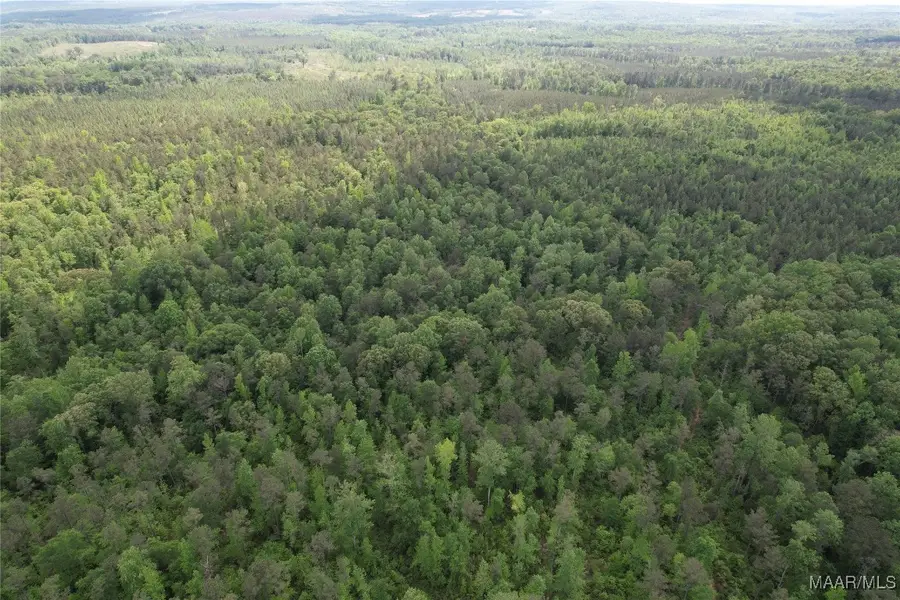 0 County Road 63, Marbury, AL 36051 - Image #3