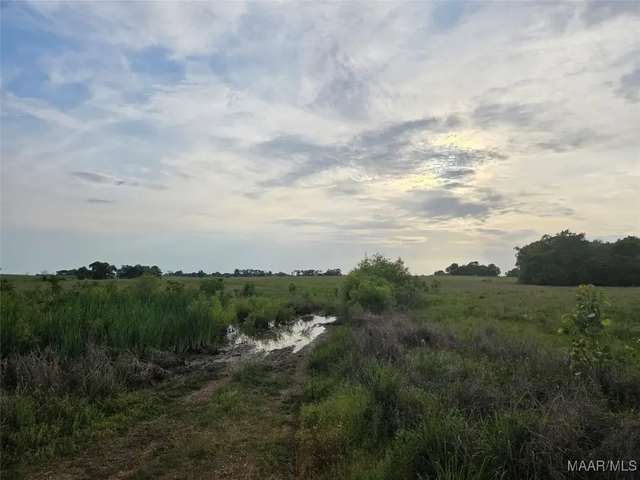 7650 Jessie Reid Lane, Montgomery, AL 36116 - Image #2