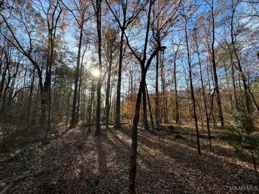 7 Jug Factory Road, Redland, AL 36093 - Image #2