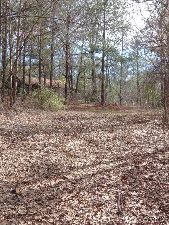 1373 County Road 39 Road, Deatsville, AL 36022 - Image #2