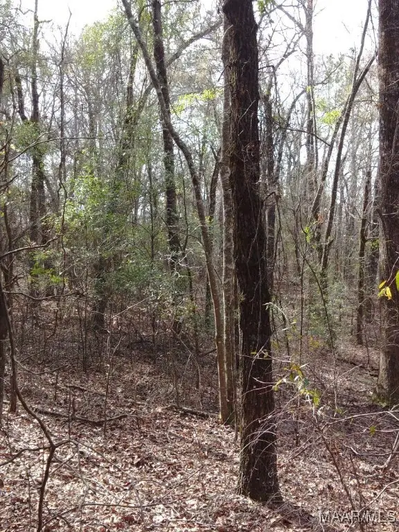 1373 County Road 39 Road, Deatsville, AL 36022 - Image #3