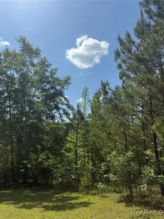0 Bonnie Blue Road, Prattville, AL 36067 - Image #1