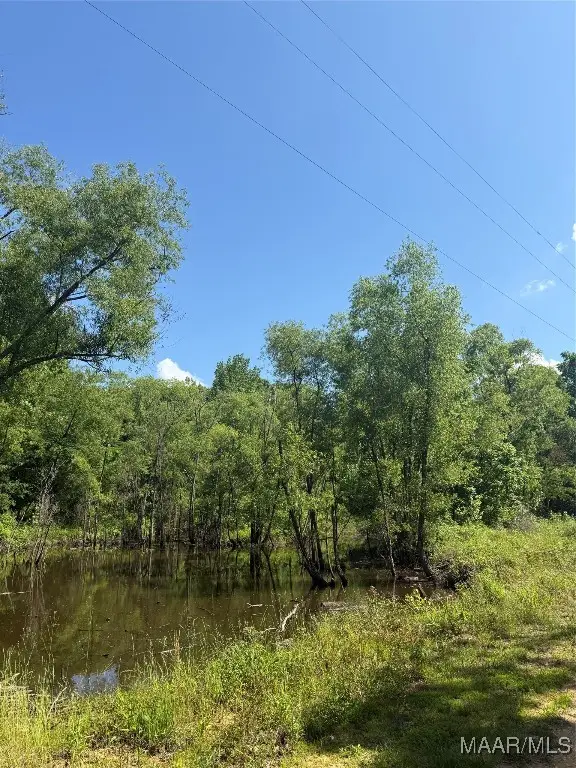 0 Bonnie Blue Road, Prattville, AL 36067 - Image #3