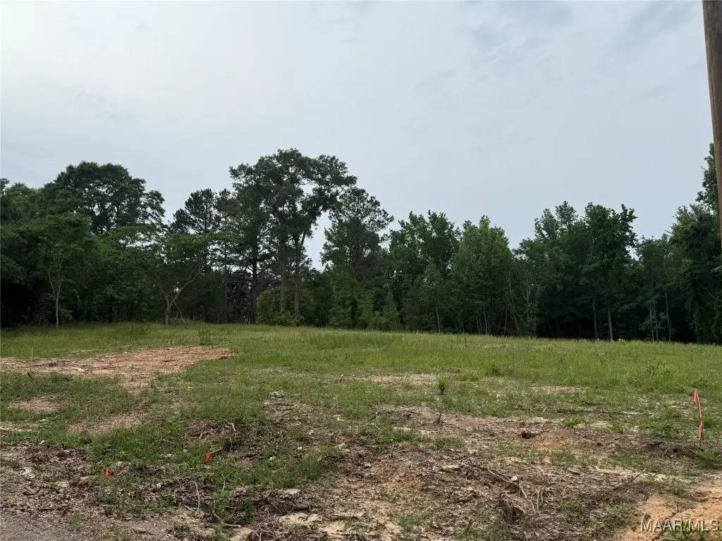 658 Nichols Avenue, Eclectic, AL 36024 - Image #1