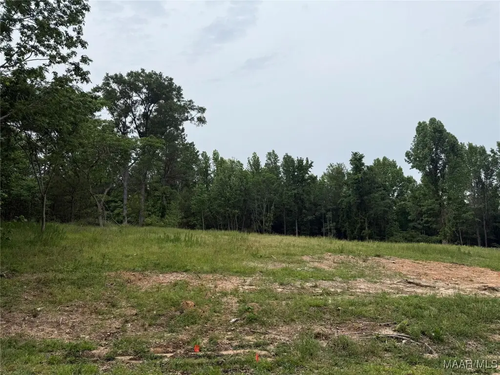 638 Nichols Avenue, Eclectic, AL 36024 - Image #1