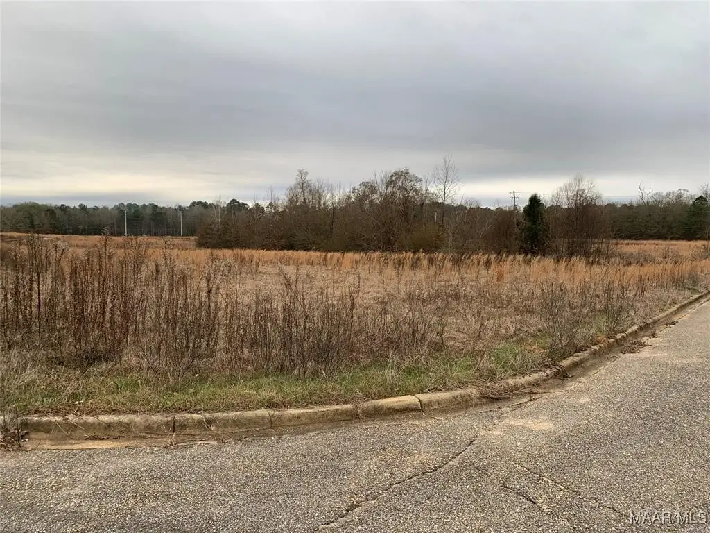 201 Park Place, Selma, AL 36701 - Image #1