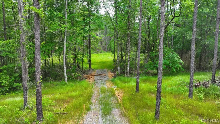 2290 Jug Factory Road, Wetumpka, AL 36093 - Image #3