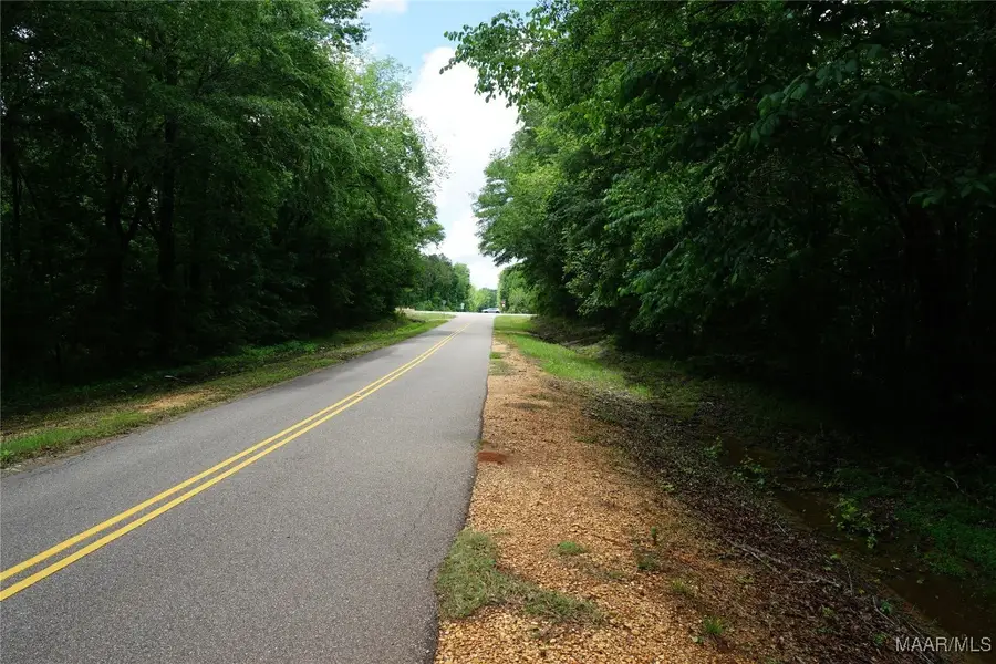 25940 Troy Highway, Pine Level, AL 36036 - Image #3