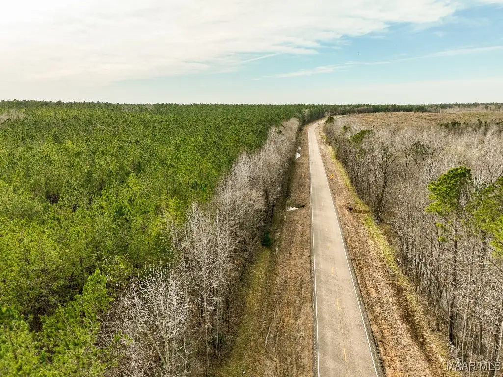 1 Highway 82, Mathews, AL 36052 - Image #1