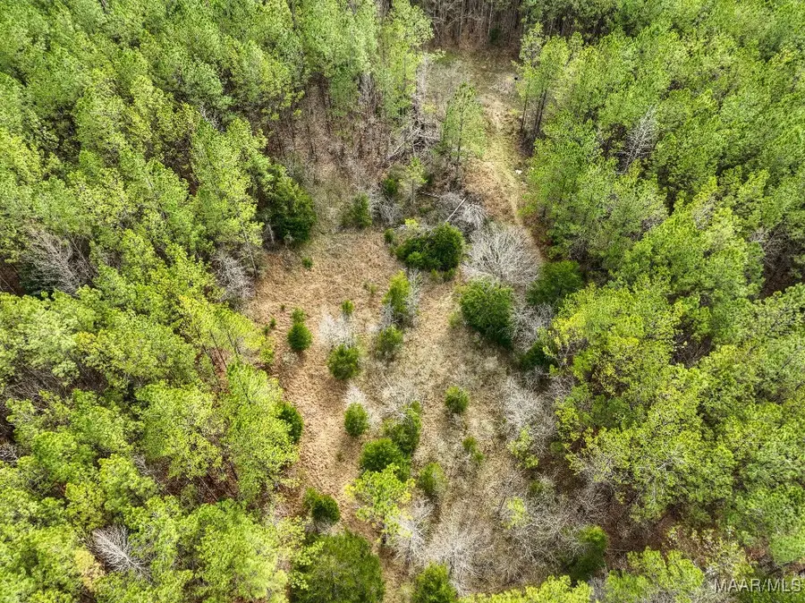 1 Highway 82, Mathews, AL 36052 - Image #2