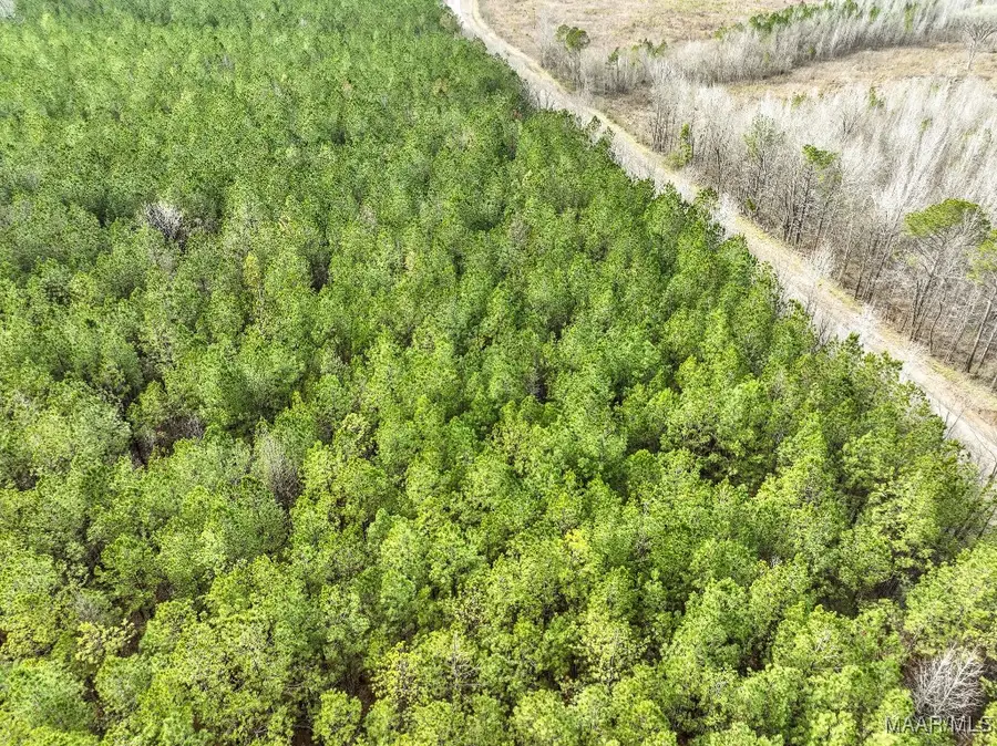 1 Highway 82, Mathews, AL 36052 - Image #3