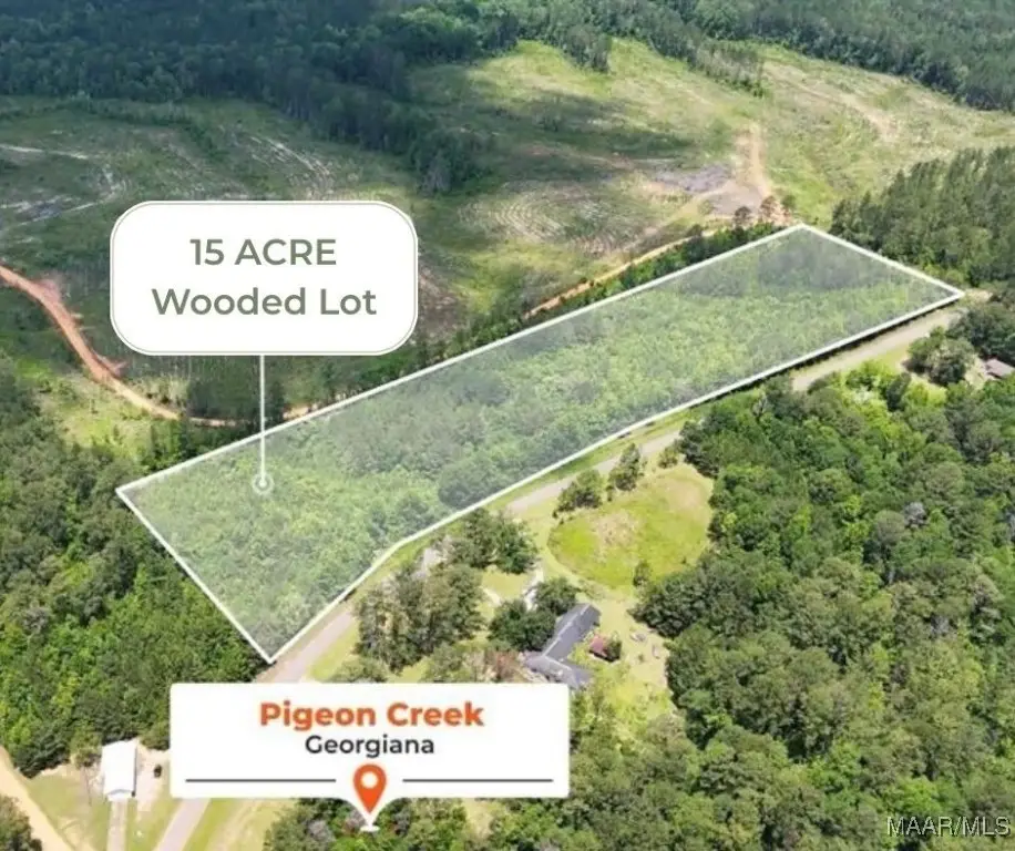 0 Pigeon Creek Road, Georgiana, AL 36033 - Image #1
