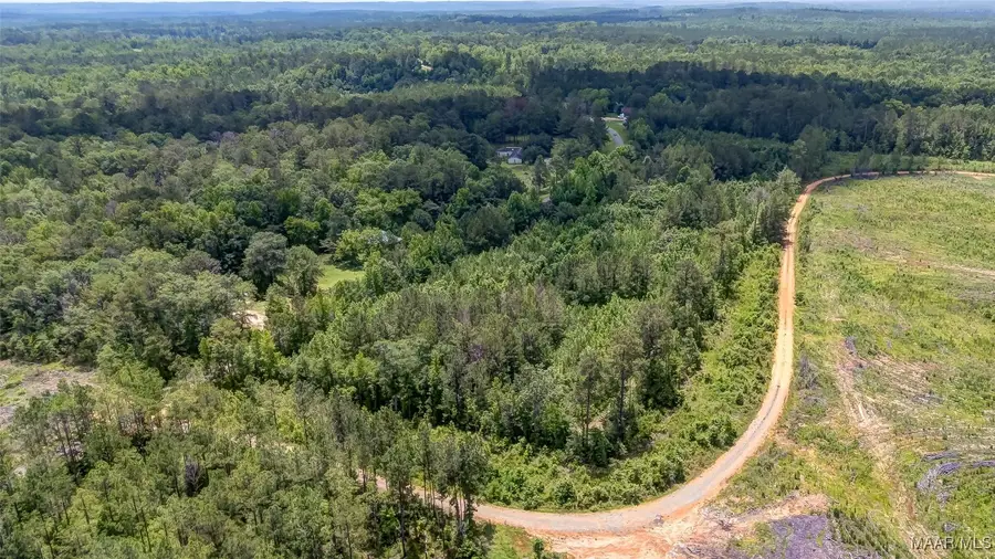 0 Pigeon Creek Road, Georgiana, AL 36033 - Image #3