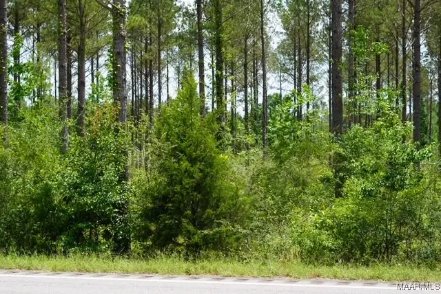 0 Pineapple Highway, Forest Home, AL 36030 - Image #2