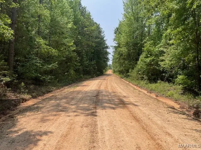 5000 County Road 55 Road, Camp Hill, AL 36850 - Image #2