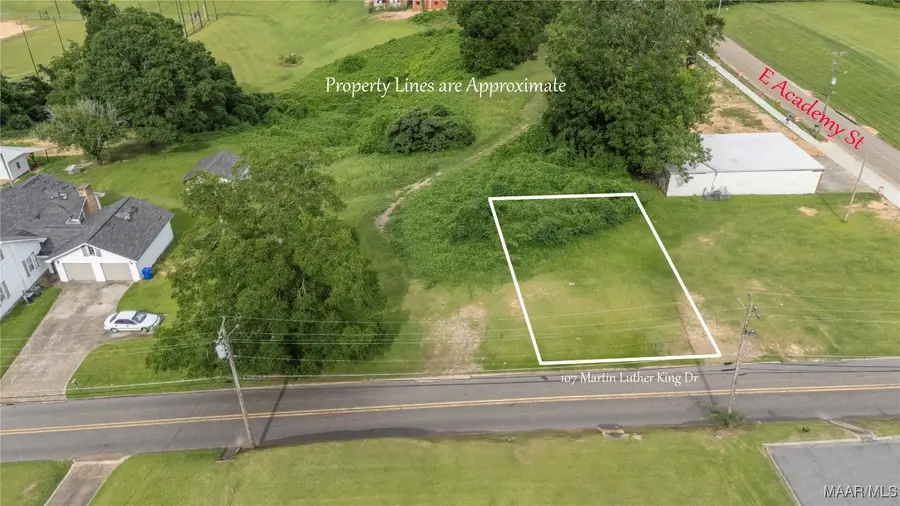 107 Martin Luther King Drive, Troy, AL 36081 - Image #2