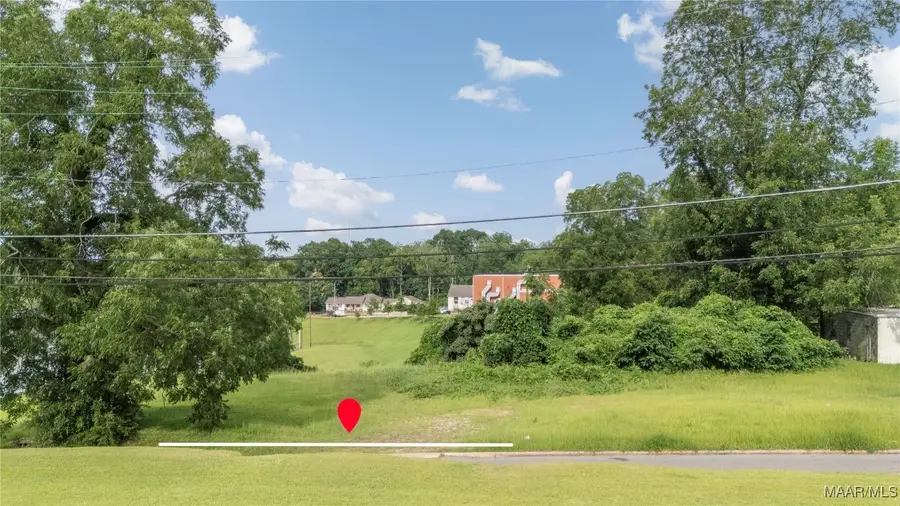 0 Martin Luther King Drive, Troy, AL 36081 - Image #2