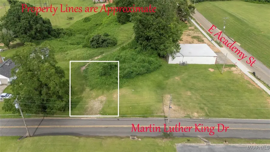 0 Martin Luther King Drive, Troy, AL 36081 - Image #3