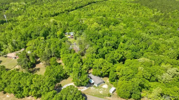 0 Beasley Road, Georgiana, AL 36033